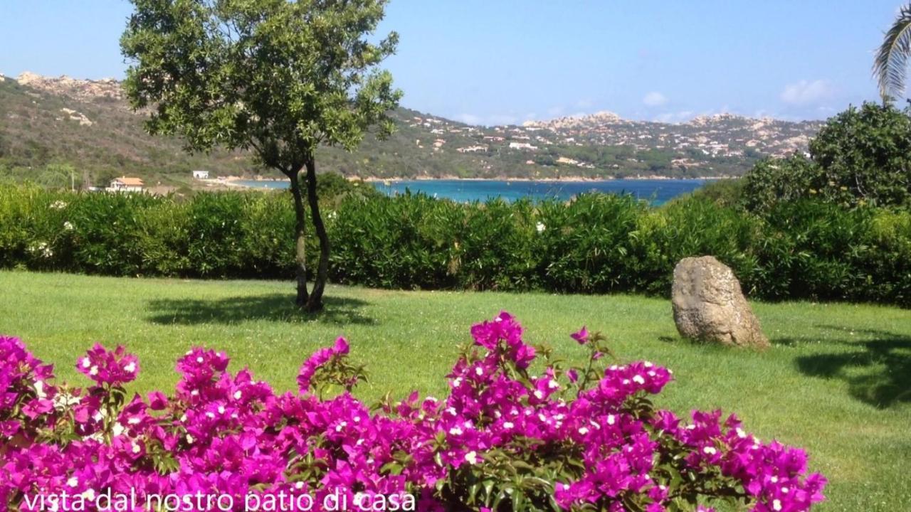 Il Bouganville A 150M Dalla Spiaggia Con Vista Sulla Splendida Baia Di Porto Raphael Palau Exteriör bild