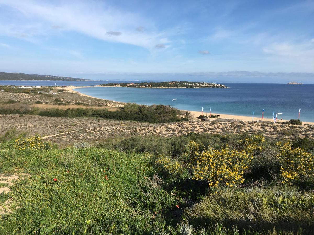 Il Bouganville A 150M Dalla Spiaggia Con Vista Sulla Splendida Baia Di Porto Raphael Palau Exteriör bild