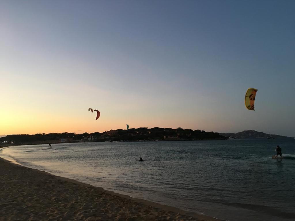 Il Bouganville A 150M Dalla Spiaggia Con Vista Sulla Splendida Baia Di Porto Raphael Palau Exteriör bild